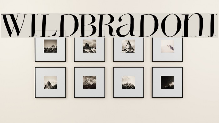 WildBradoni Example 3