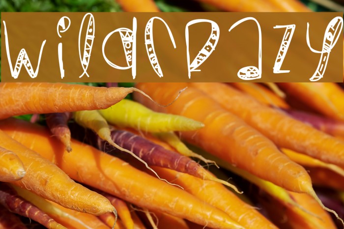 WildCrazy Font examples