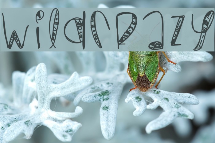 WildCrazy Font examples