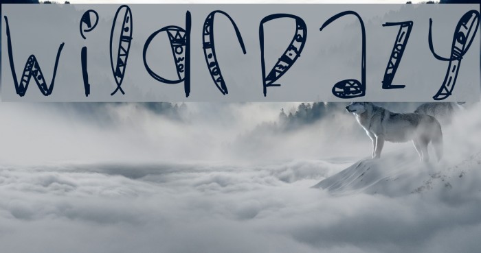 WildCrazy Font examples