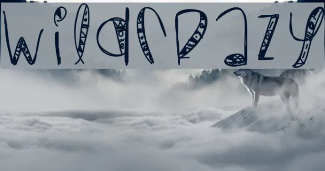 WildCrazy Example 3