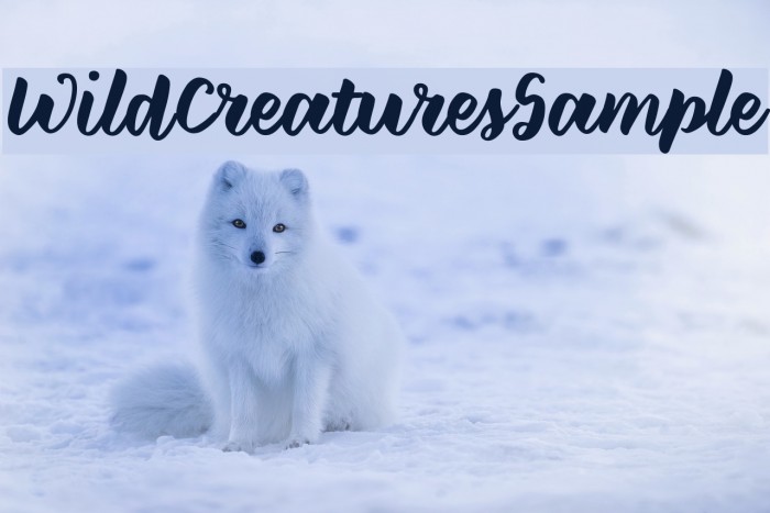 WildCreaturesSample Font examples