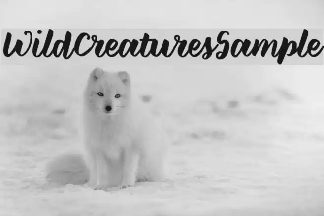 WildCreaturesSample Font examples