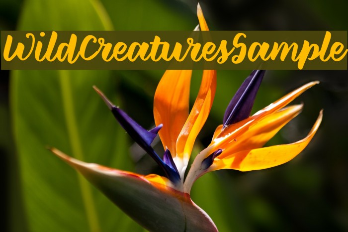 WildCreaturesSample Font examples