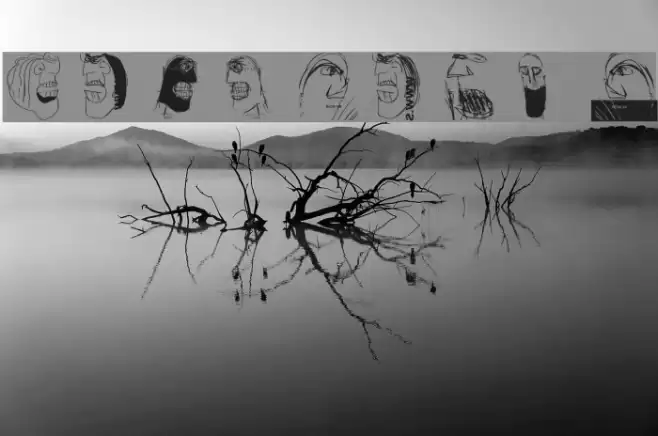 WildFaces Font examples