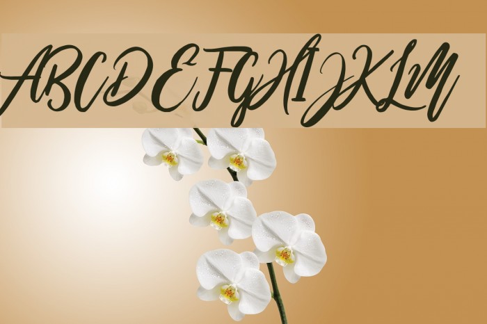 WildOnes Font examples