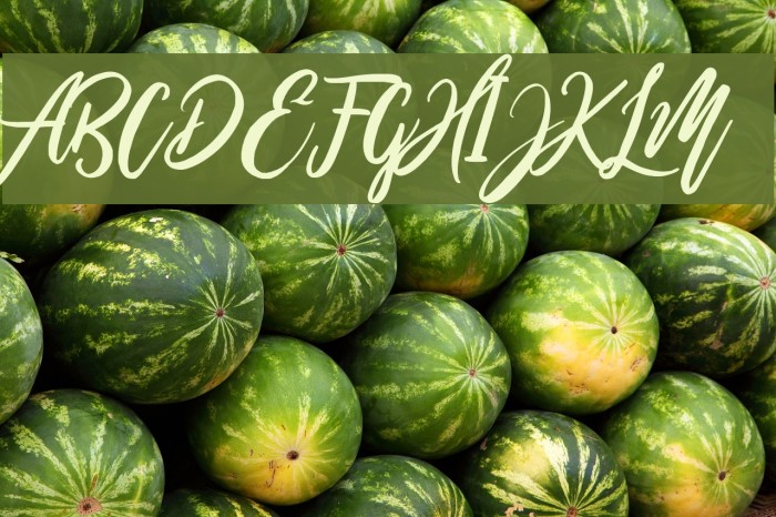 WildOnes Font examples