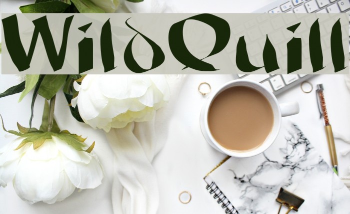 WildQuill Font examples