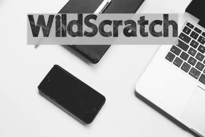 WildScratch Font examples