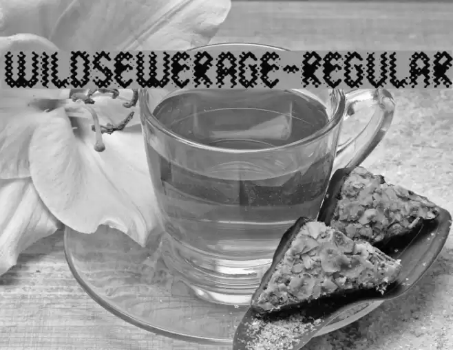 WildSewerage-Regular フォント examples