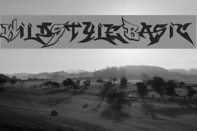 WildStyle_Basic Font examples