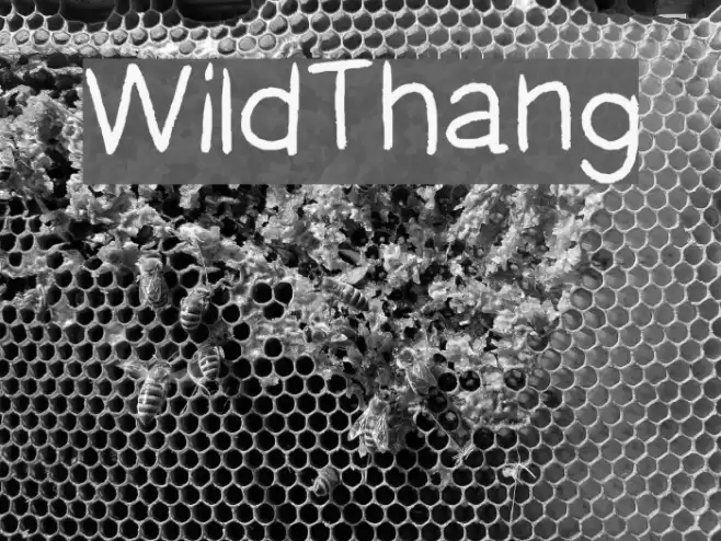 WildThang Font examples