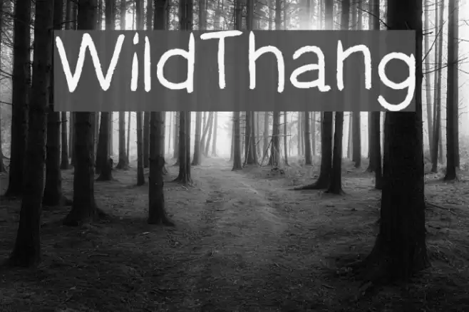 WildThang Font examples