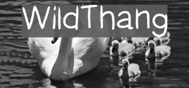 WildThang Font examples