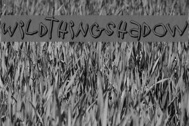 WildThingShadow Font examples