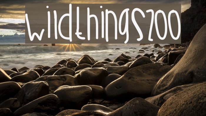 WildThingsZoo Example 1