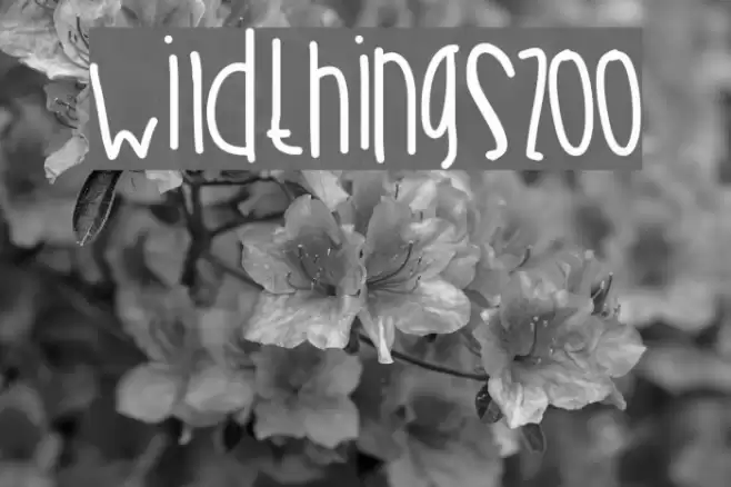 WildThingsZoo Font examples