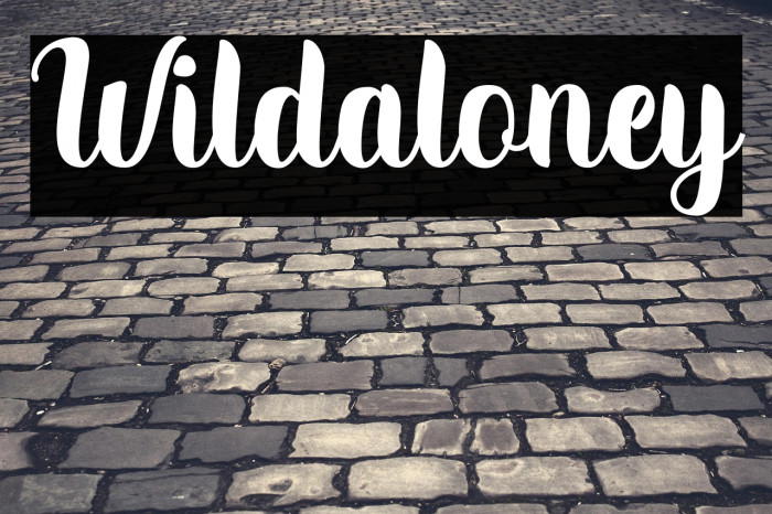 Wildaloney Example 1