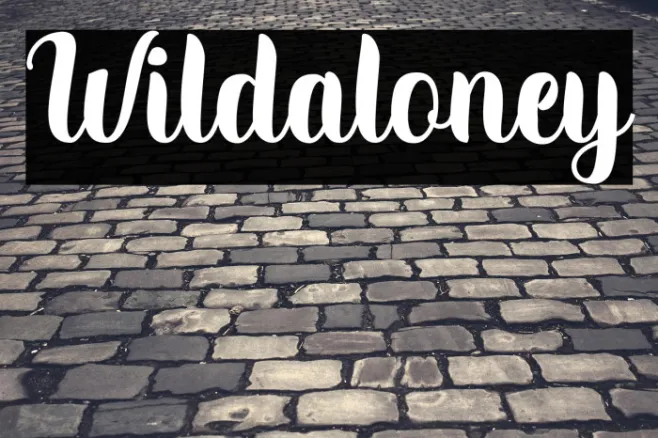 Wildaloney Example 1