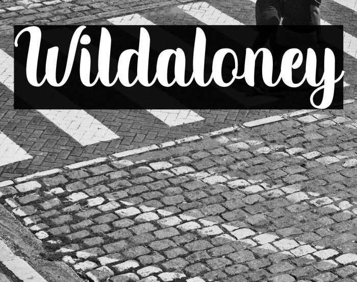 Wildaloney Example 2