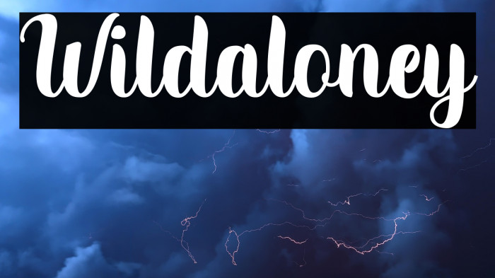 Wildaloney Example 3