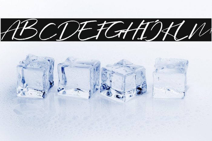 WildbreakDEMO-Regular Example 1