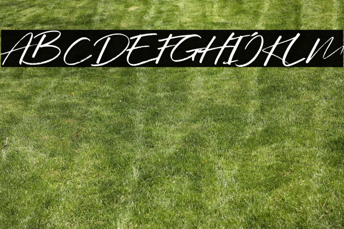 WildbreakDEMO-Regular Example 3