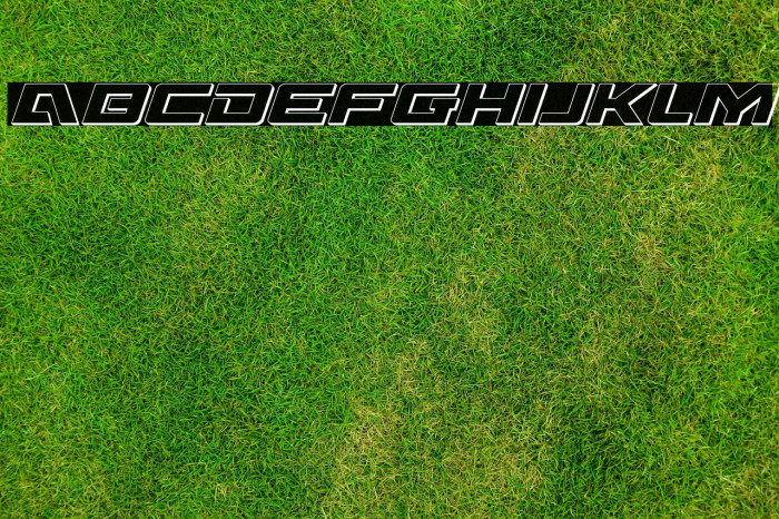 Wildcard 3D Italic Example 2