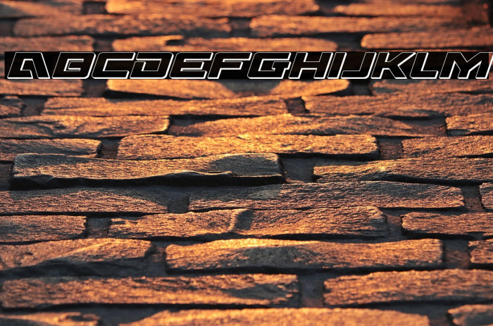 Wildcard 3D Italic Example 3