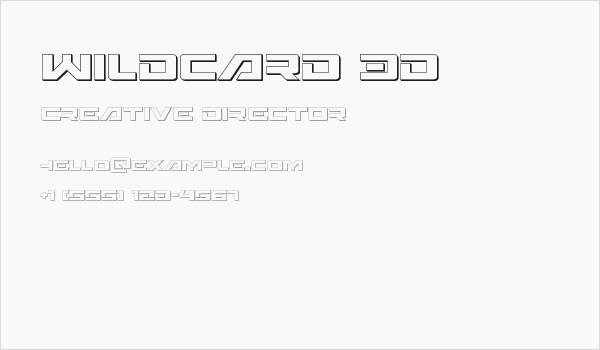 Wildcard 3D Business Card