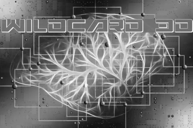 Wildcard 3D Шрифта examples