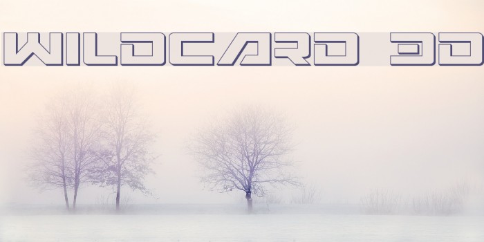 Wildcard 3D Font examples