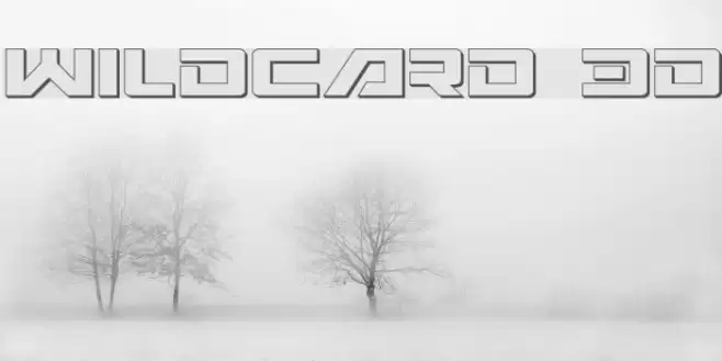 Wildcard 3D Шрифта examples