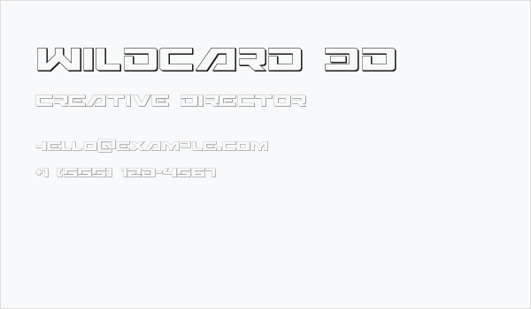 Wildcard 3D Business Card