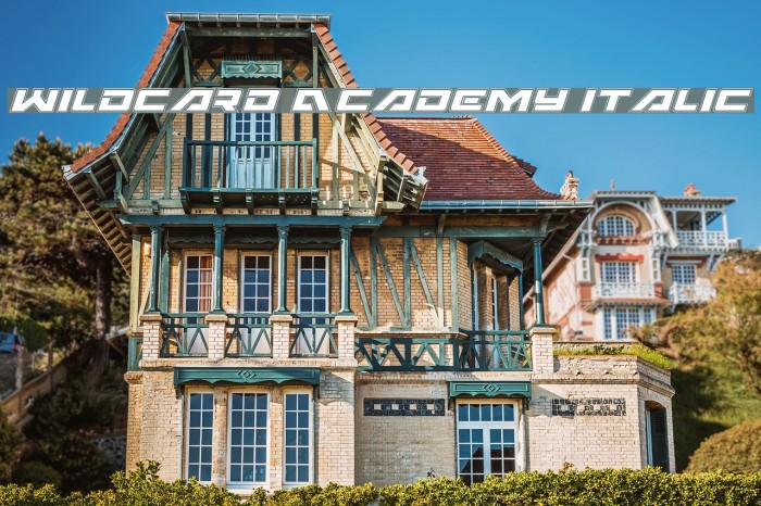 Wildcard Academy Italic Example 1