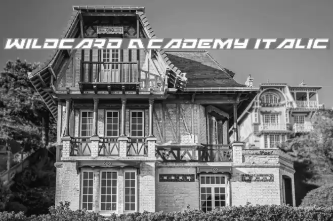 Wildcard Academy Italic Font examples