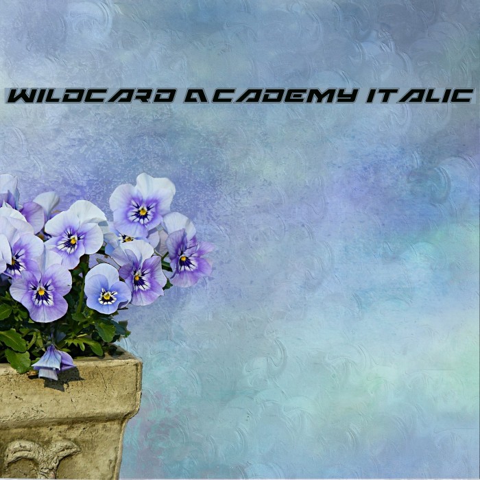 Wildcard Academy Italic Example 3