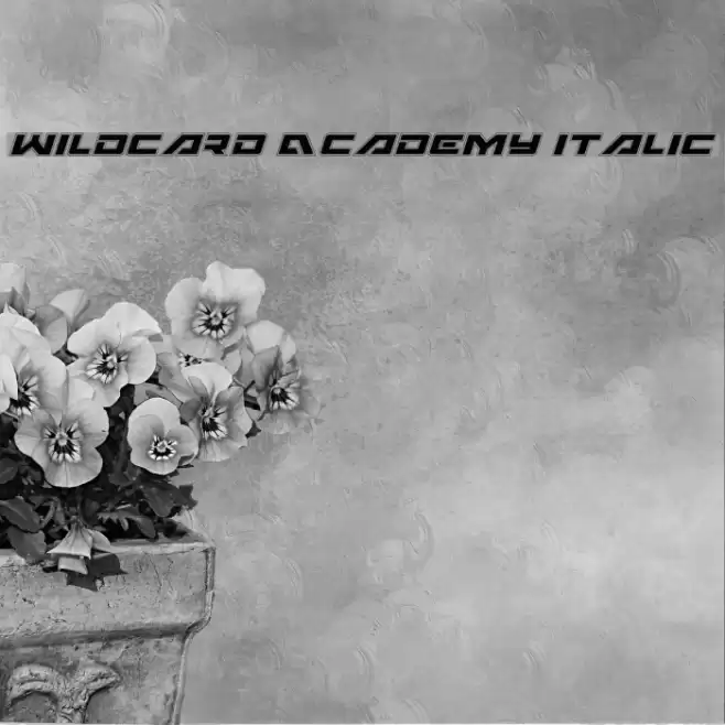 Wildcard Academy Italic Font examples