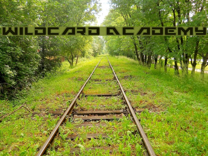 Wildcard Academy Example 2