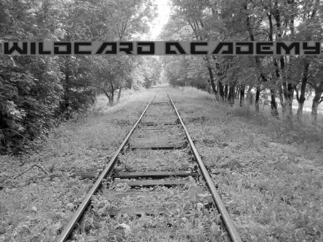 Wildcard Academy Font examples