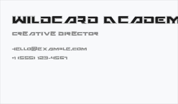 Wildcard Academy Business Card