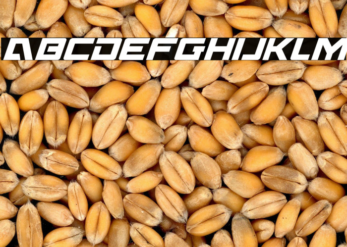 Wildcard Condensed Italic Example 2