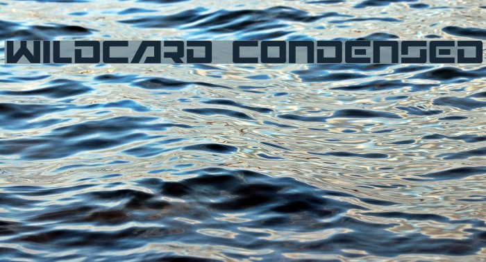 Wildcard Condensed Font examples