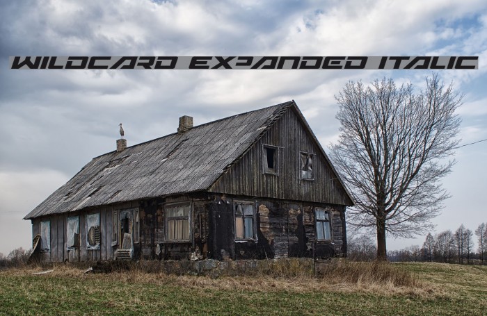 Wildcard Expanded Italic Example 1