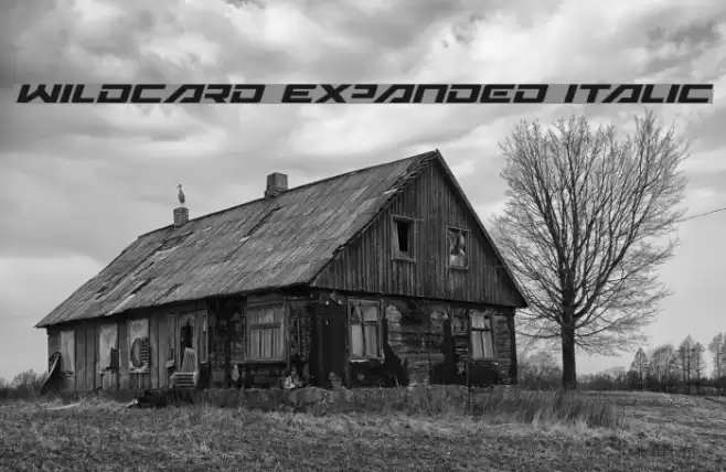 Wildcard Expanded Italic Font examples