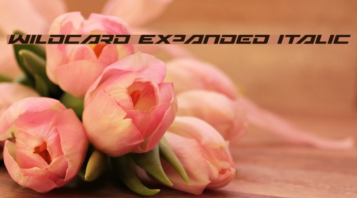 Wildcard Expanded Italic Example 2