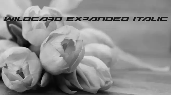 Wildcard Expanded Italic Font examples