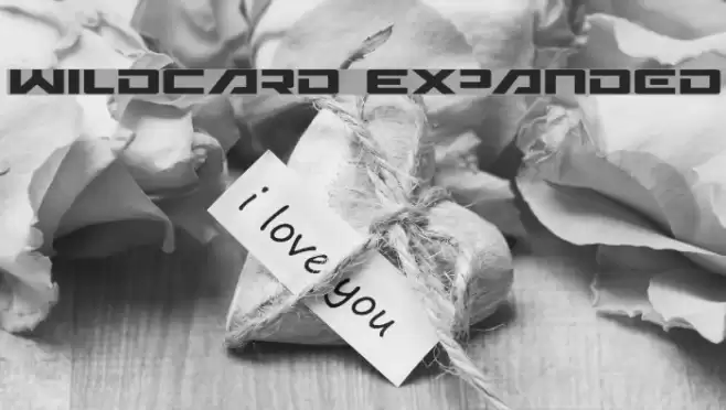 Wildcard Expanded Font examples