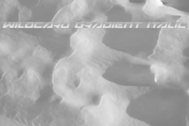 Wildcard Gradient Italic Font examples