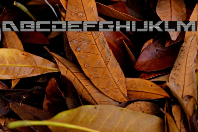 Wildcard Gradient Example 1